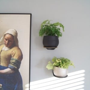 Plantdrager Flora Zwart | ø12cm