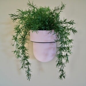 Plantendrager Flora Zwart ø 15cm Eco + Pot Pink Blossom