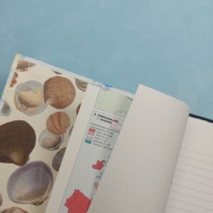 Reisboekje / Traveljournal - Europa (donker blauw)