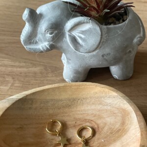 Gouden creolen met ster
