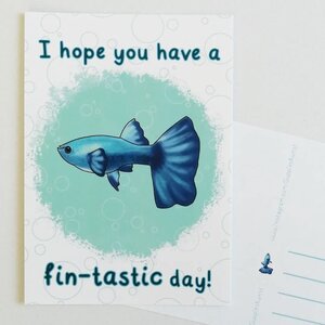 Kaartje Fintastic day