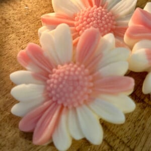 Valentijn Flowers Wax melts