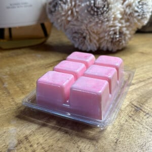 Waxmelts Snow Orchid