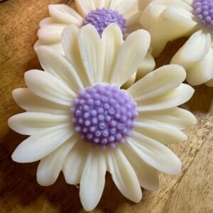 Waxmelts Spicey Samba