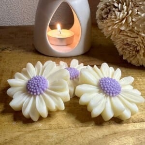 Waxmelts Spicey Samba