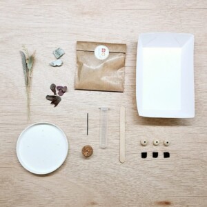 DIY pakket - Droogbloemen met geurdecoratie - pine
