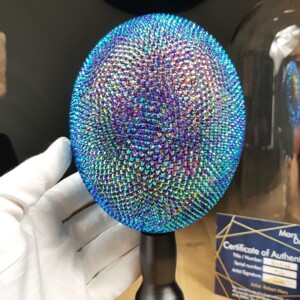 Echte struisvogel ei met swarovski kristal en 23ct verguld - opgezet onder acryl dome - gelimiteerde editie