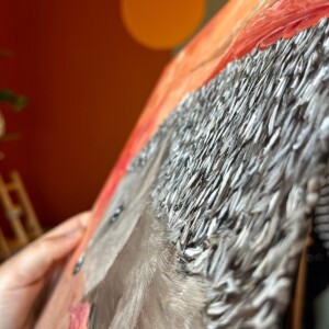 Schilderij "Egel" - origineel kunstwerk in olieverf