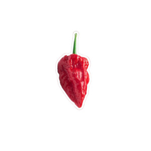 Ghost Pepper zaden – Kweek je eigen vurige sensatie
