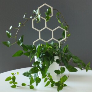 Honey Honing Plantensteun 3D Geprint Perfect Voor Elk Planttype