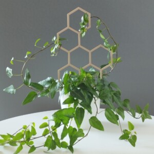 Honey Honing Plantensteun 3D Geprint Perfect Voor Elk Planttype