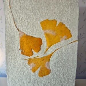 Poster gemaakt van handgeschept papier met ginkoblad (inclusief passe-partout)