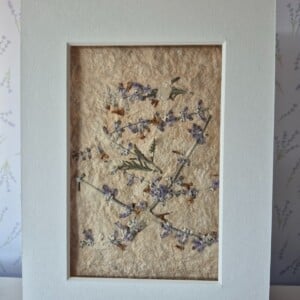 Poster gemaakt van handgeschept papier met lavendel (inclusief passe-partout)