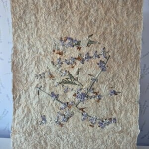 Poster gemaakt van handgeschept papier met lavendel (inclusief passe-partout)