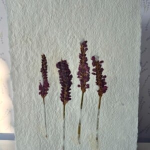 Poster gemaakt van handgeschept papier met pink inspiration (inclusief passe-partout)