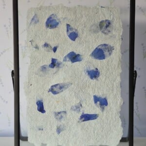 Handgeschept papier ingelijst in een moderne zwarte lijst 13x18