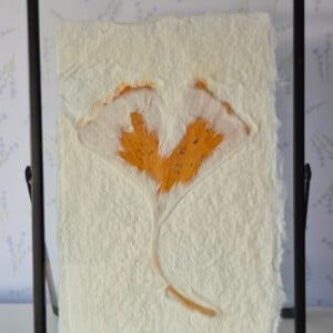 Handgeschept papier met Ginkoblad ingelijst in een moderne zwarte lijst 13x18