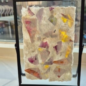 Handgeschept papier met tulpenblad ingelijst in een moderne zwarte lijst 13x18