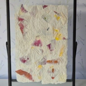 Handgeschept papier met tulpenblad ingelijst in een moderne zwarte lijst 13x18