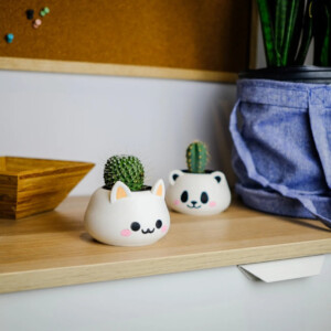 Kat & Panda plantenpotjes (set van 2)