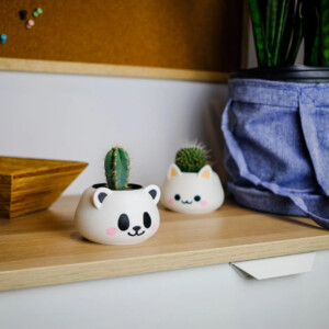 Kat & Panda plantenpotjes (set van 2)