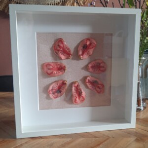 Oesterkunst | Roze kreeft