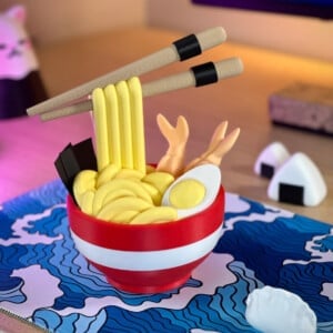 Ramen Bowl organizer