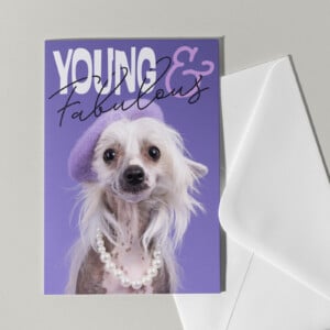 Set van 5 grote kaarten met honden
