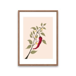 Chili plant kunstprint – botanische illustratie met rode peper | A4 poster 21x30 cm