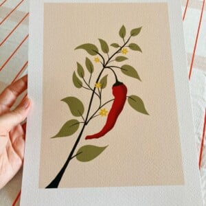 Chili plant kunstprint – botanische illustratie met rode peper | A4 poster 21x30 cm