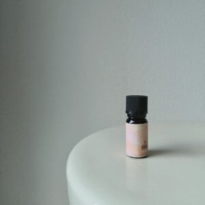 Comfort - natuurlijke geur voor in huis met Sinaasappel, Kaneel & Patchouli voor warmte en gezelligheid