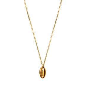 Gold Plated Necklace With Clam