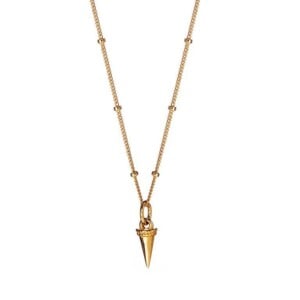 Gold Plated Necklace With Horn