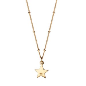 Gold Plated Necklace With Star