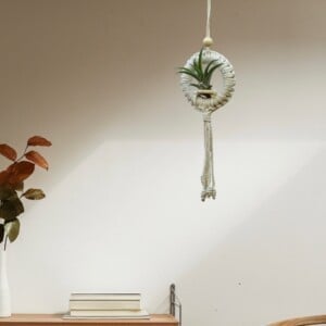 Handgeknoopte macramé-hanger met een Tillandsia Capitata Peach.