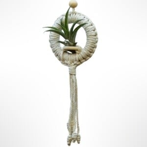 Handgeknoopte macramé-hanger met een Tillandsia Capitata Peach.