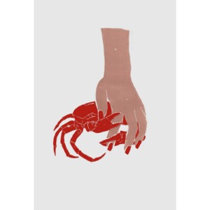 Een linoprint van een hand met rode nagellak die een krab vasthoud. Zijn ze vriendjes? Of gaat ze hem opeten? Of gaat de krab zijn scharen in haar zetten? spannend! illustratie, minimalistisch, grappig
