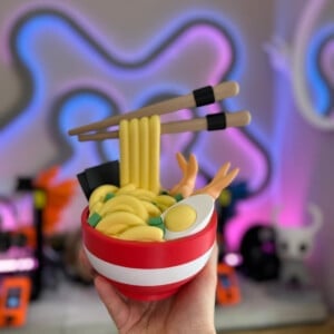 Ramen Bowl organizer