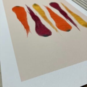 Regenboogwortels kunstprint – kleurrijke botanische food illustratie | A4 poster 21x30 cm