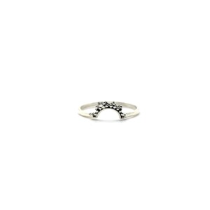 Silver Crescent Moon