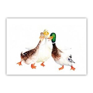 2 prints A5 eenden met envelop