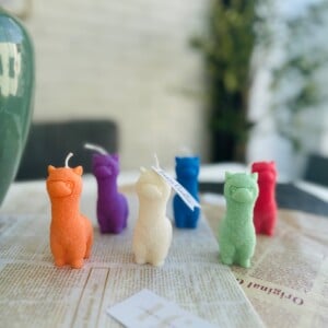Alpaca