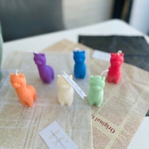 Alpaca
