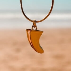 Oceaan Vin ketting goud