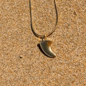 Oceaan Vin ketting goud