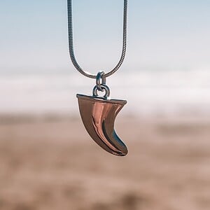 Oceaan Vin ketting zilver