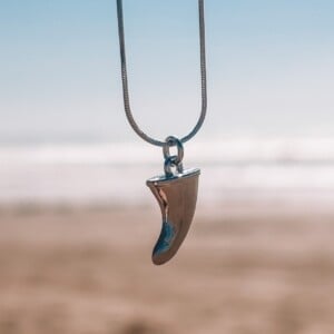 Oceaan Vin ketting zilver
