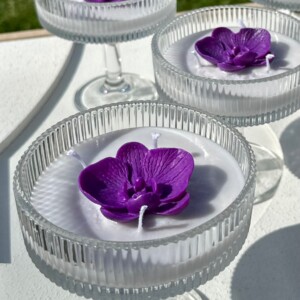 Orchid Glow