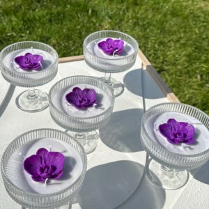 Orchid Glow