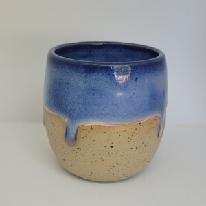 Spikkelmok zonder oor blauw